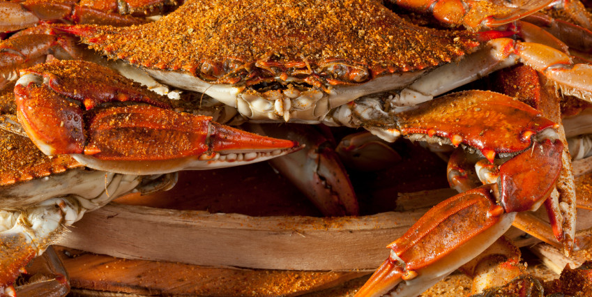 Tis the Season…for Crab Feasts!